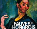 Exposition France Musée des Beaux Arts de Dijon Fauves Hongrois